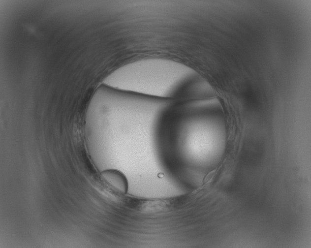 X0000051920179200506241518