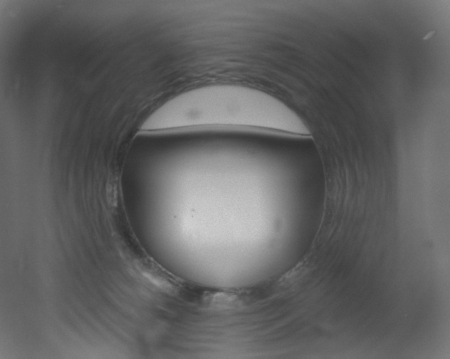 X0000051920180200506241518