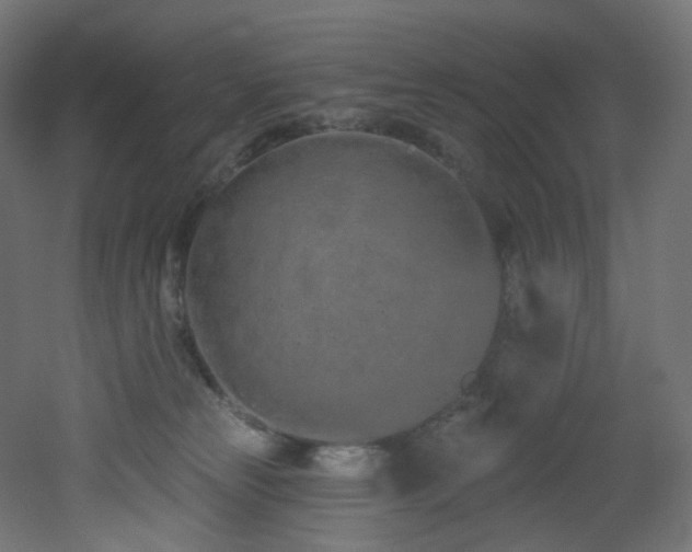 X0000051920181200506241518