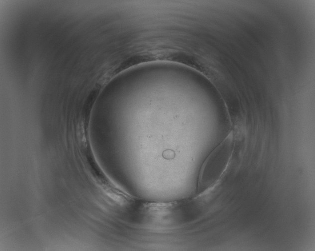 X0000051920182200506241518