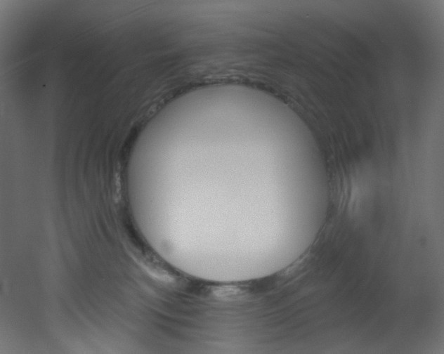 X0000051920183200506241518