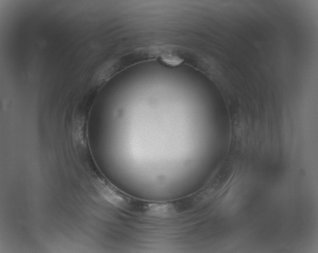 X0000051920185200506241518