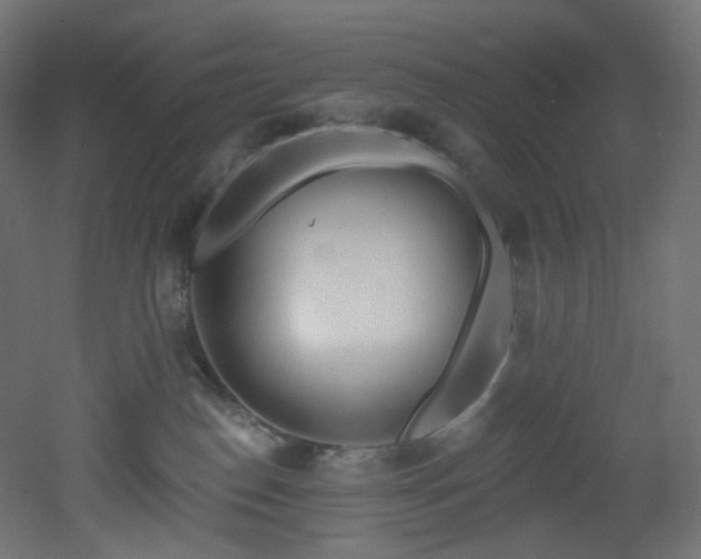 X0000051920186200506241518