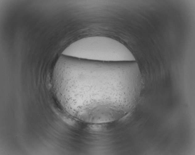 X0000051920187200506241518