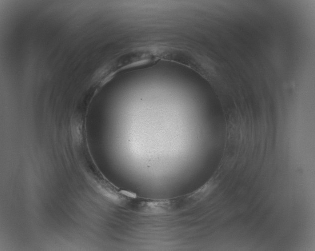 X0000051920188200506241518