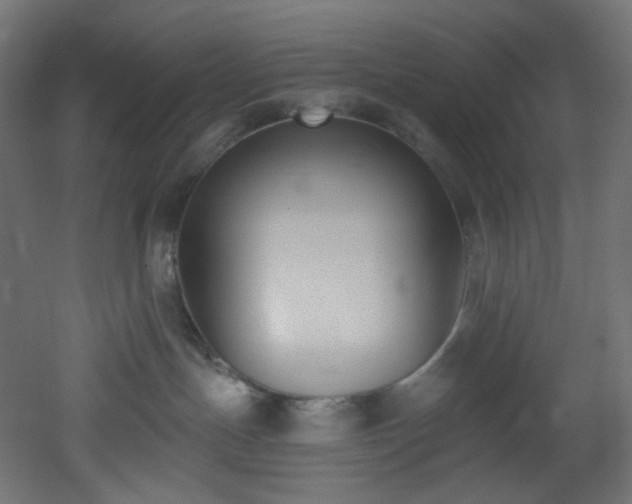 X0000051920191200506241518
