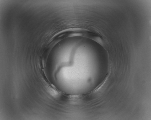 X0000051920192200506241518