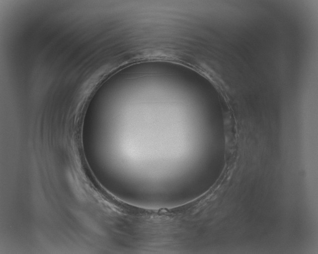 X0000051920193200506241518