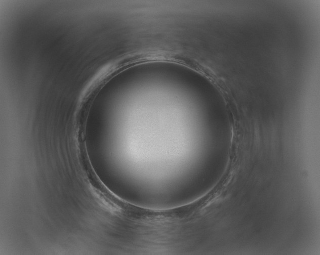 X0000051920197200506241518