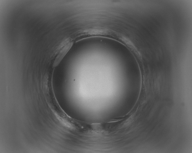 X0000051920201200506241518