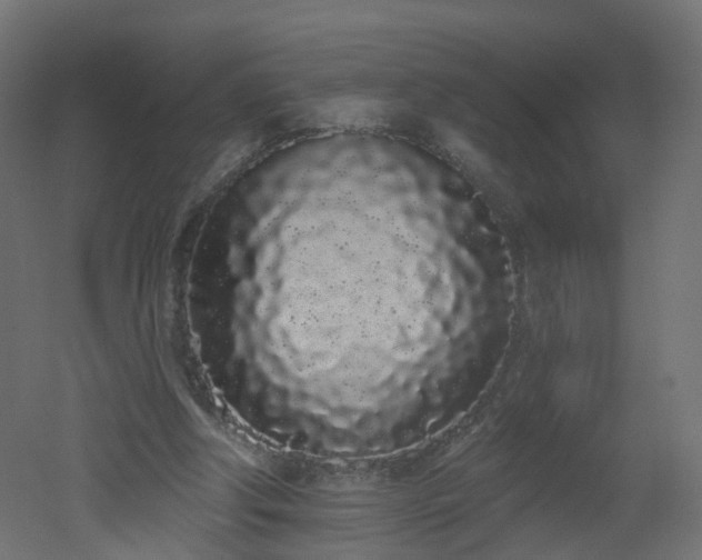 X0000051920202200506241518