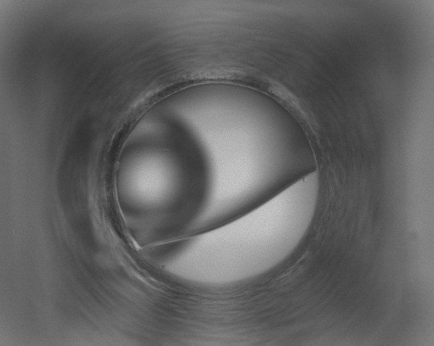 X0000051920203200506241518