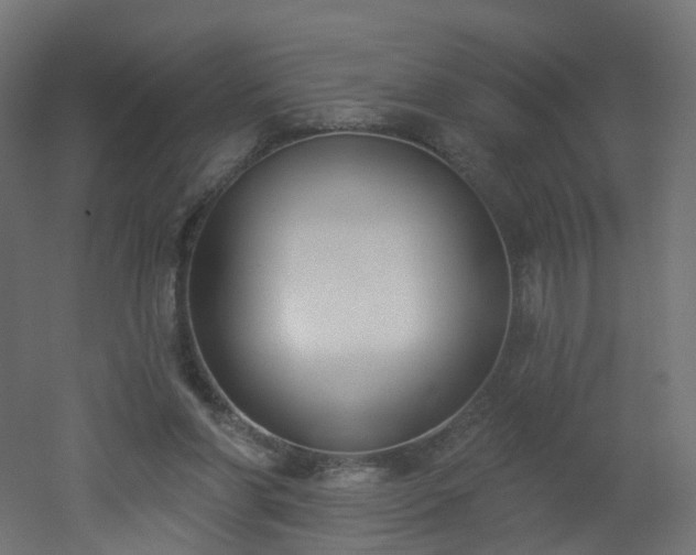 X0000051920206200506241517