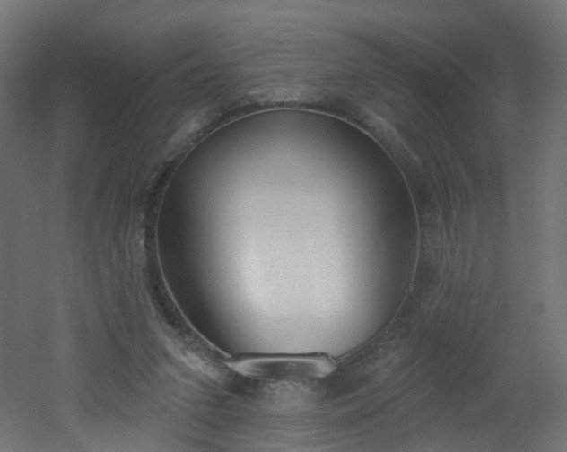 X0000051920207200506241517