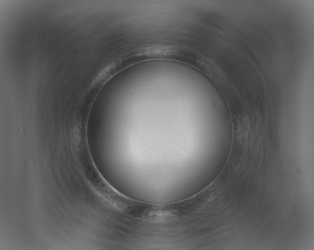 X0000051920208200506241517