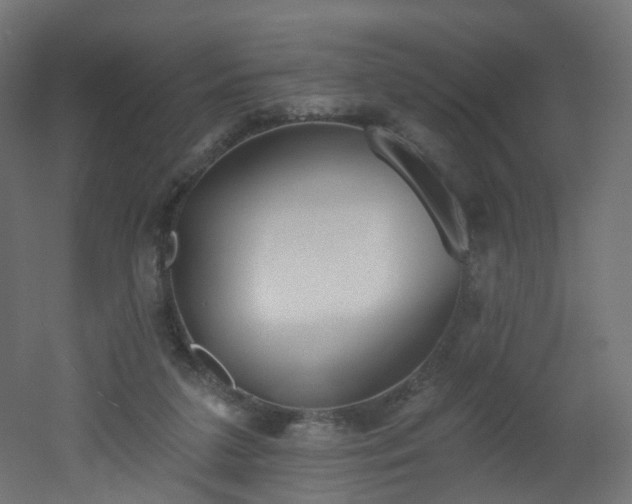 X0000051920211200506241517