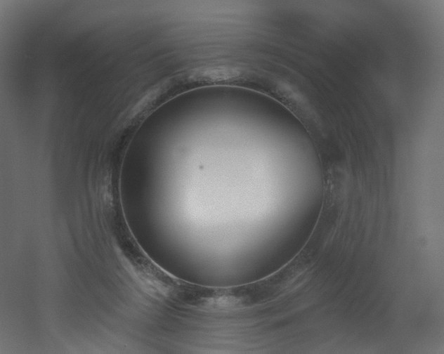 X0000051920212200506241517