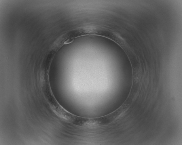 X0000051920213200506241517
