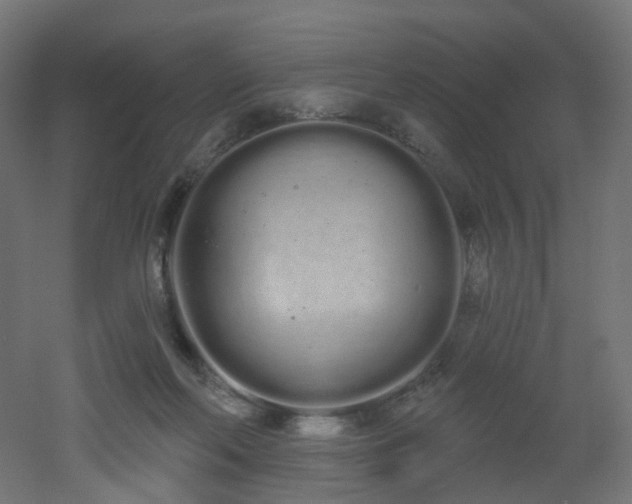 X0000051920214200506241517