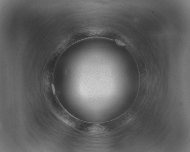 X0000051920215200506241517