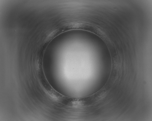 X0000051920216200506241517