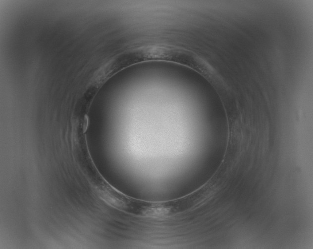 X0000051920217200506241517