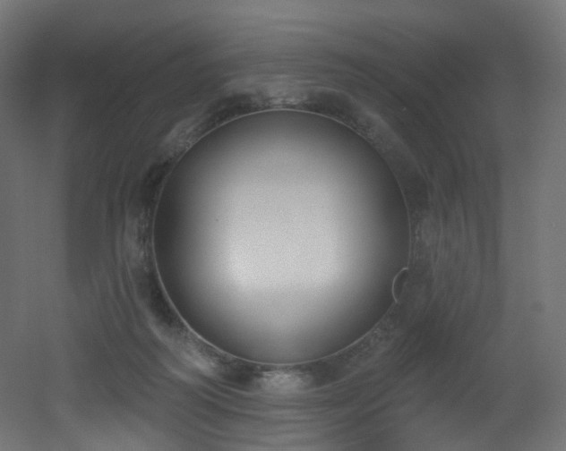 X0000051920218200506241517