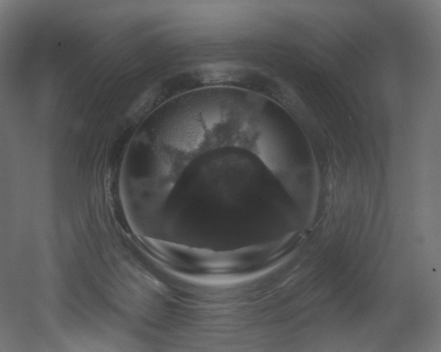 X0000051920219200506241517