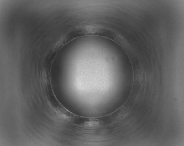 X0000051920220200506241517