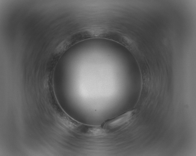 X0000051920221200506241517