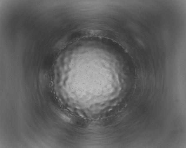 X0000051920222200506241517