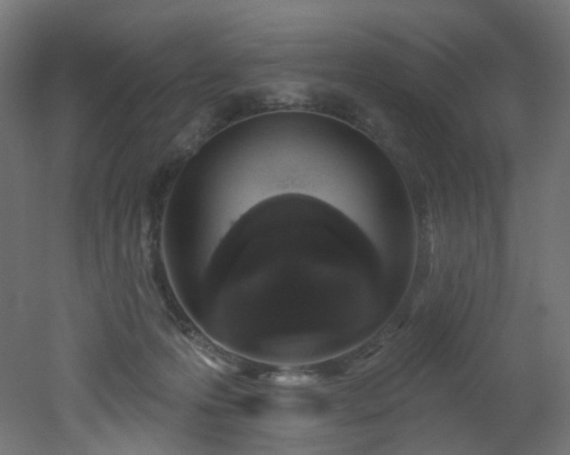 X0000051920223200506241517