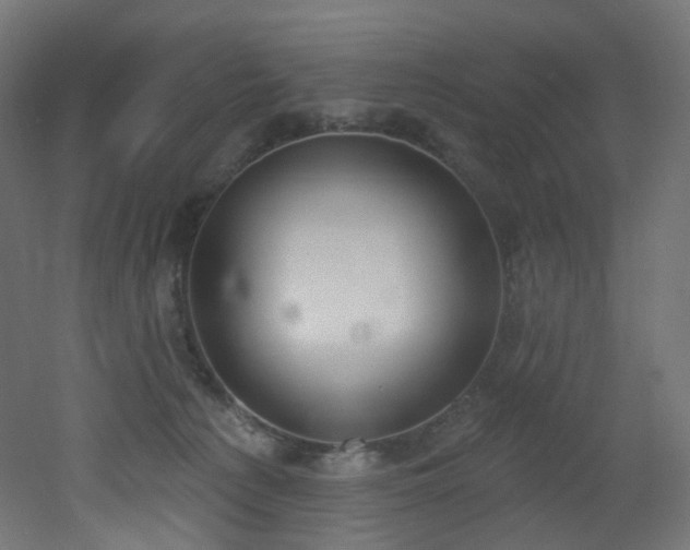 X0000051920225200506241517