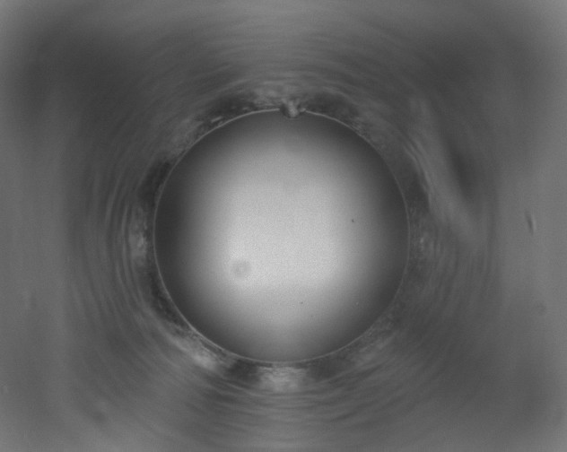 X0000051920226200506241517