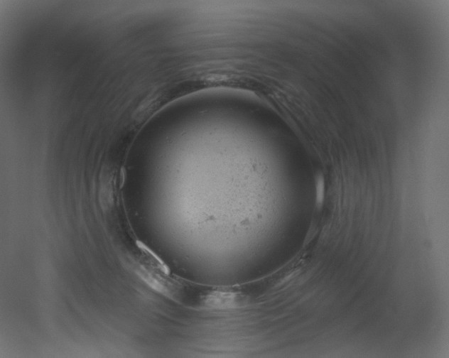 X0000051920227200506241517