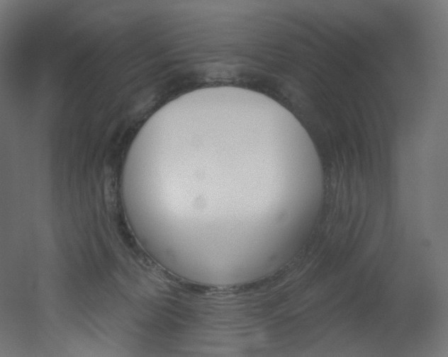 X0000051920228200506241517