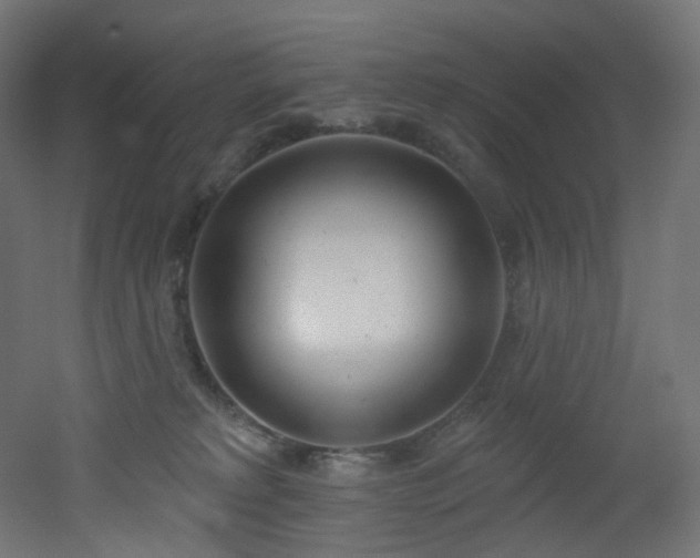 X0000051920229200506241517