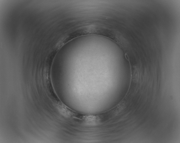 X0000051920230200506241517