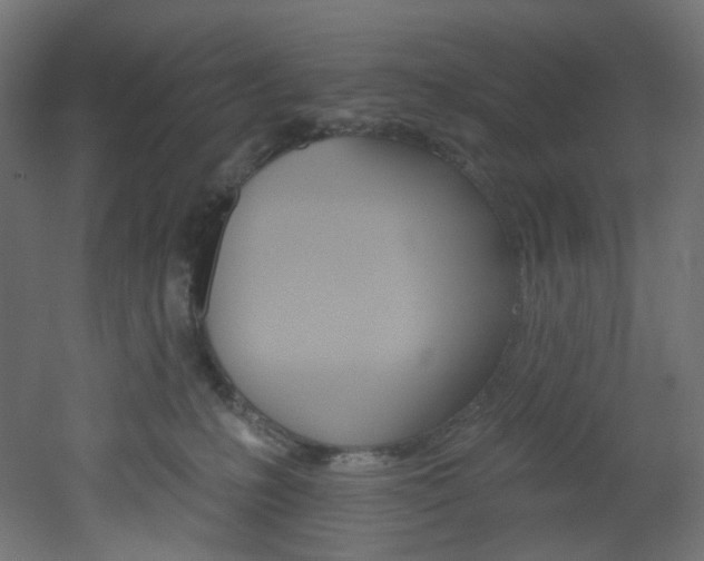 X0000051920231200506241517