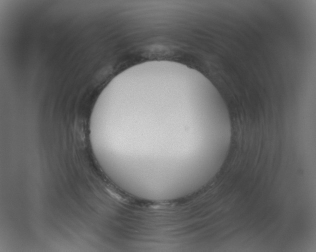 X0000051920232200506241517