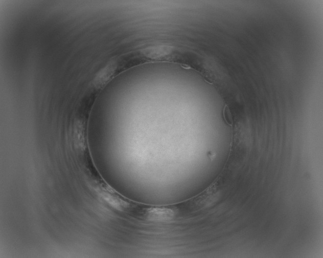 X0000051920234200506241517