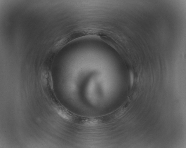X0000051920235200506241517