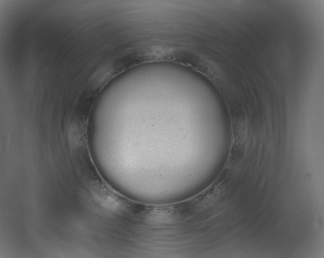 X0000051920236200506241517