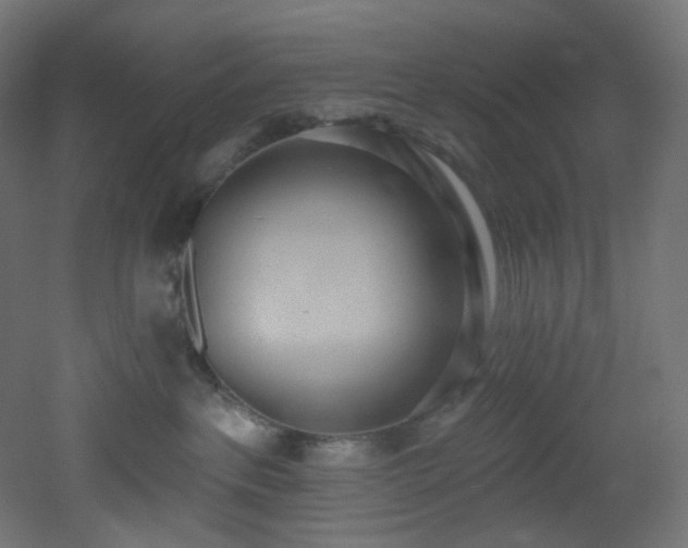 X0000051920237200506241517
