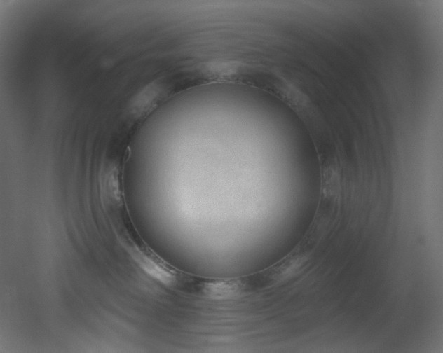 X0000051920238200506241517
