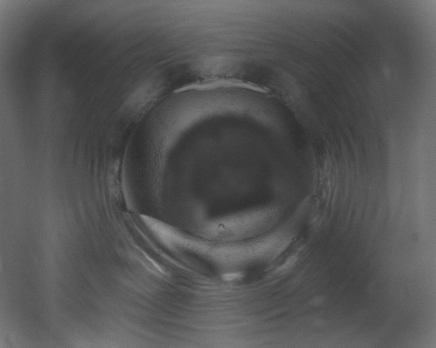 X0000051920239200506241517