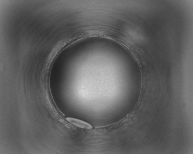 X0000051920241200506241516