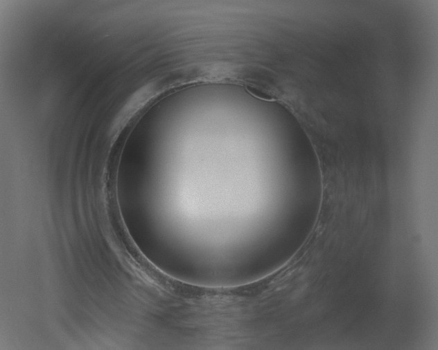 X0000051920242200506241516