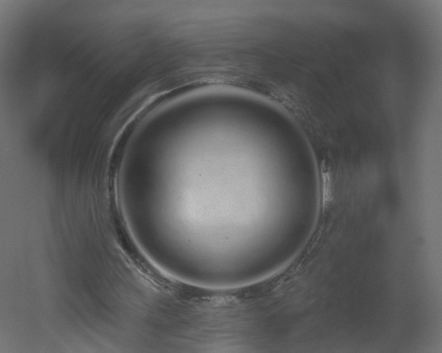 X0000051920243200506241516