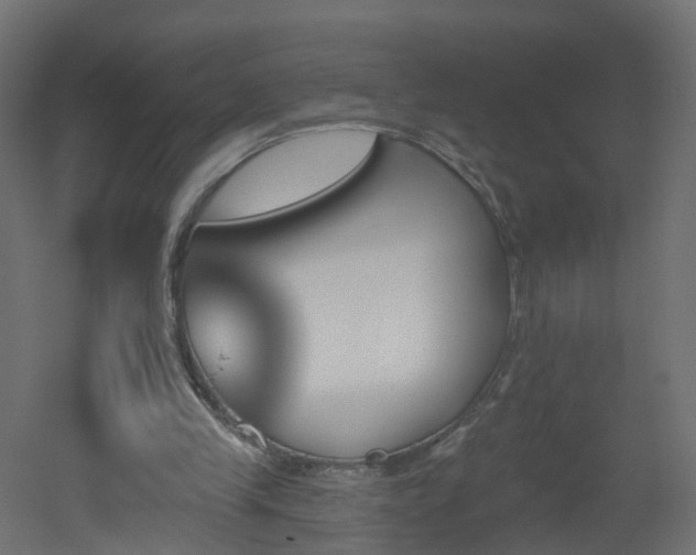 X0000051920245200506241516